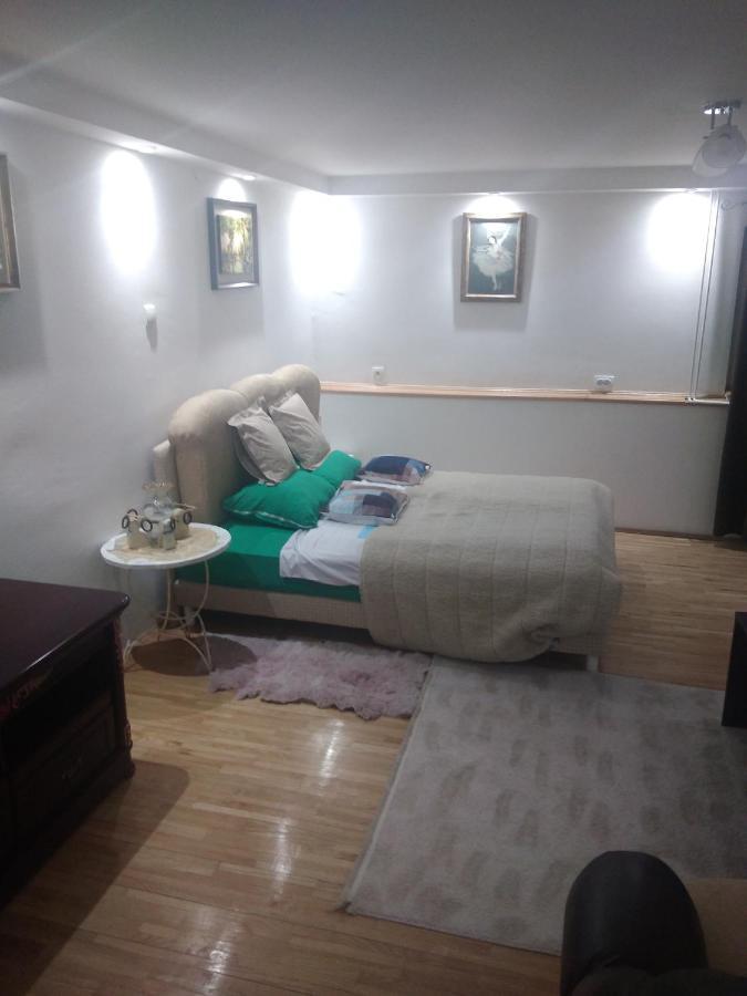 Goksi Apartment Subotica Exterior photo